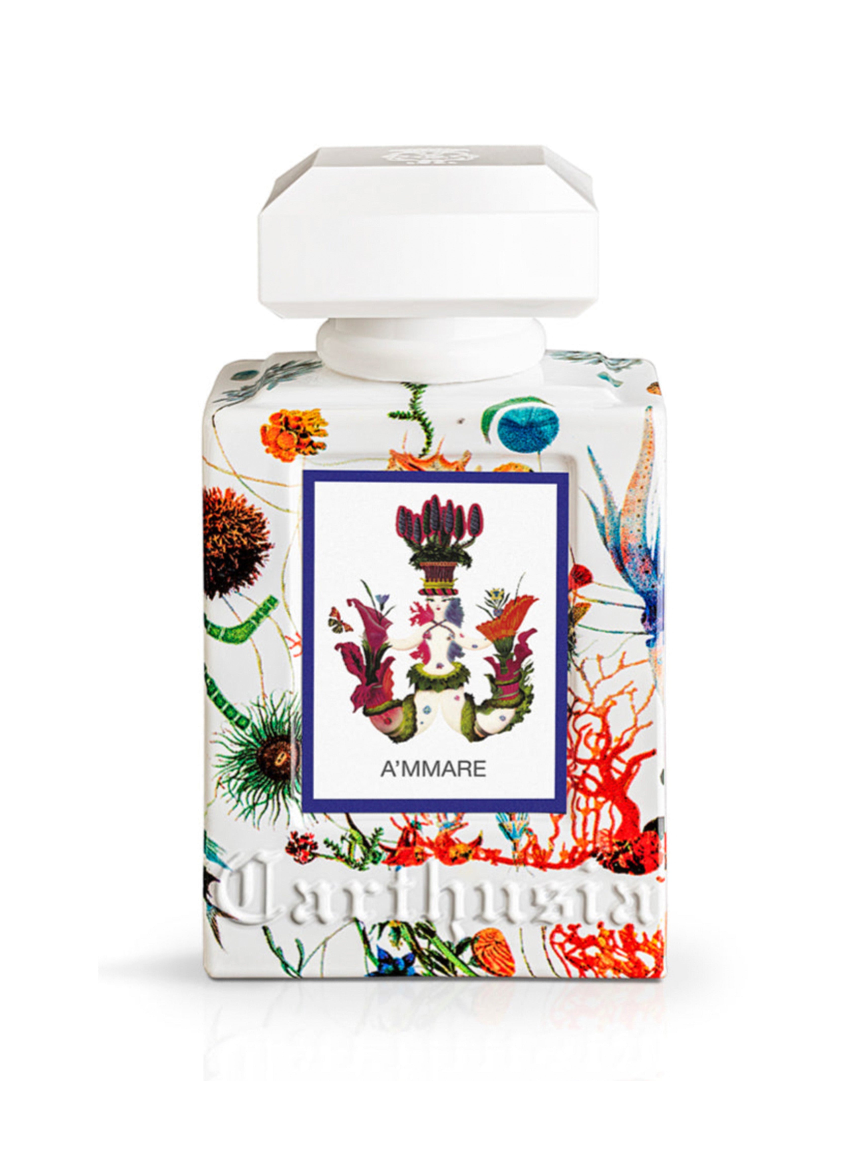 CARTHUSIA〈カルトゥージア〉 アマーレ オードパルファム 50ml