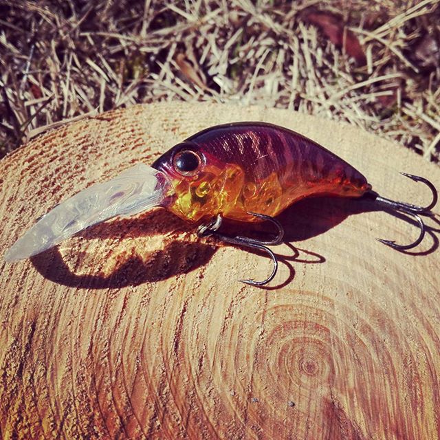 S] ワンテン”レーシング”は何が凄いのか？ - DeeeP STREAM ディープ