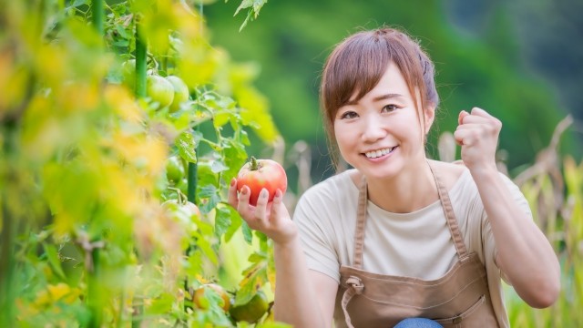 ユーキャン楽しい園芸講座はおすすめ？口コミ・費用・活用法を徹底解説