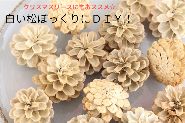 a11b4bb3ba448d1fa402ac3dc62cc9