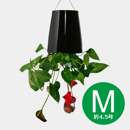 無題ドキュメント