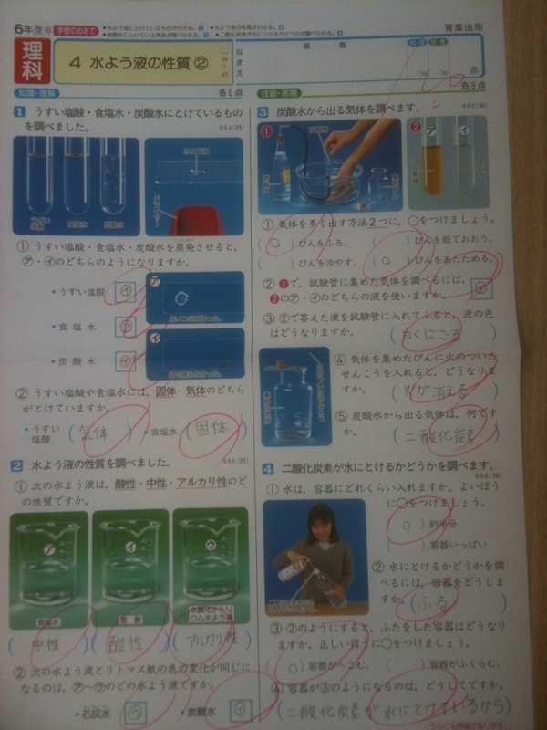 小学六年生理科100点: 向田塾