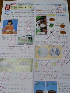 小学6年生理科100点: 向田塾
