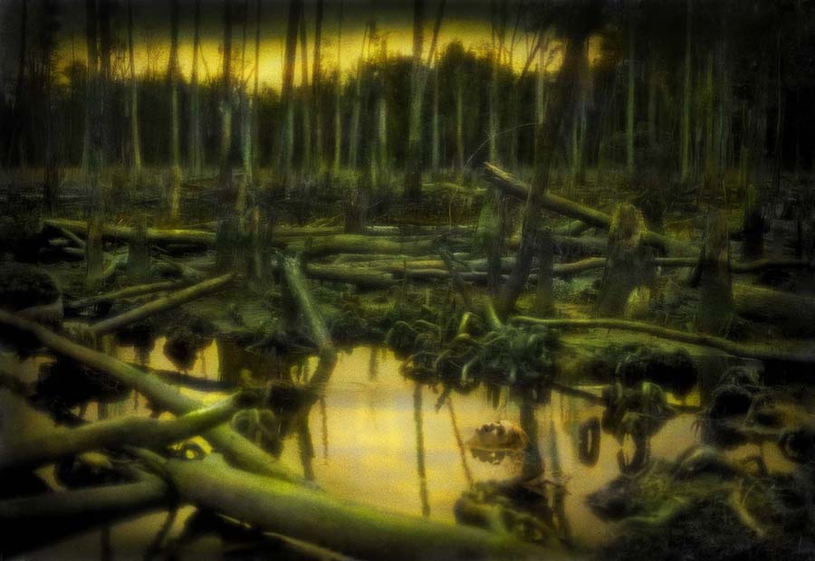 Rocky Schenck: The Recurring Dream - LENSCRATCH