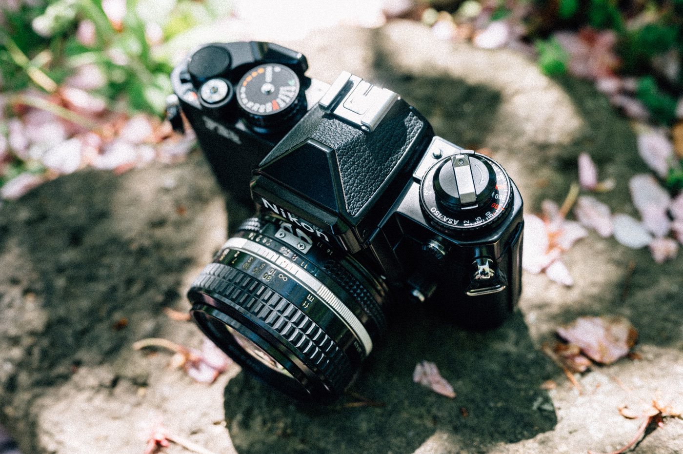 ニコンのフィルムカメラFE2を買いました！仕様や撮った写真を載せてみ