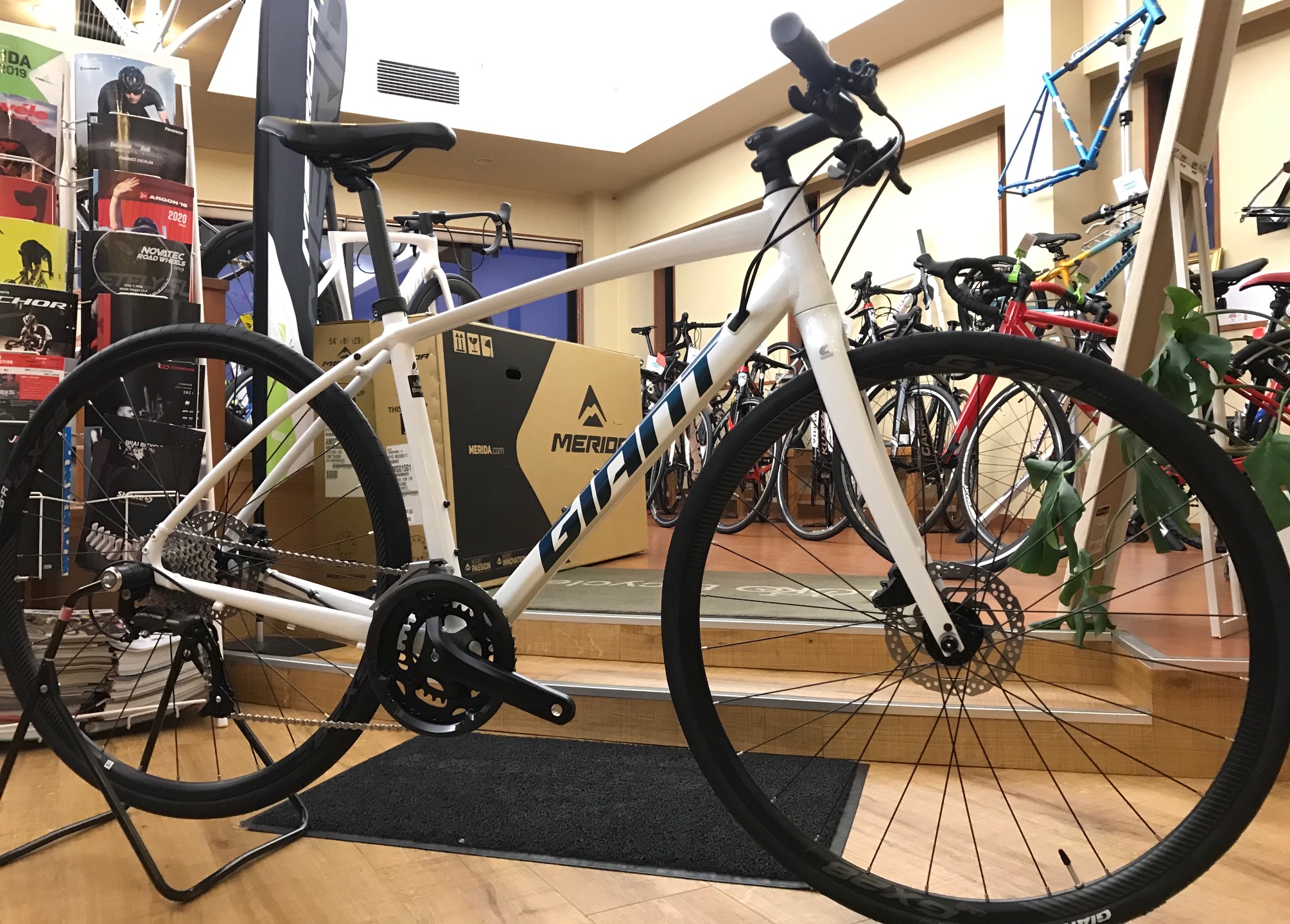 9/3 GIANT 2021 ESCAPE RX DISC | LOKO Bicycle