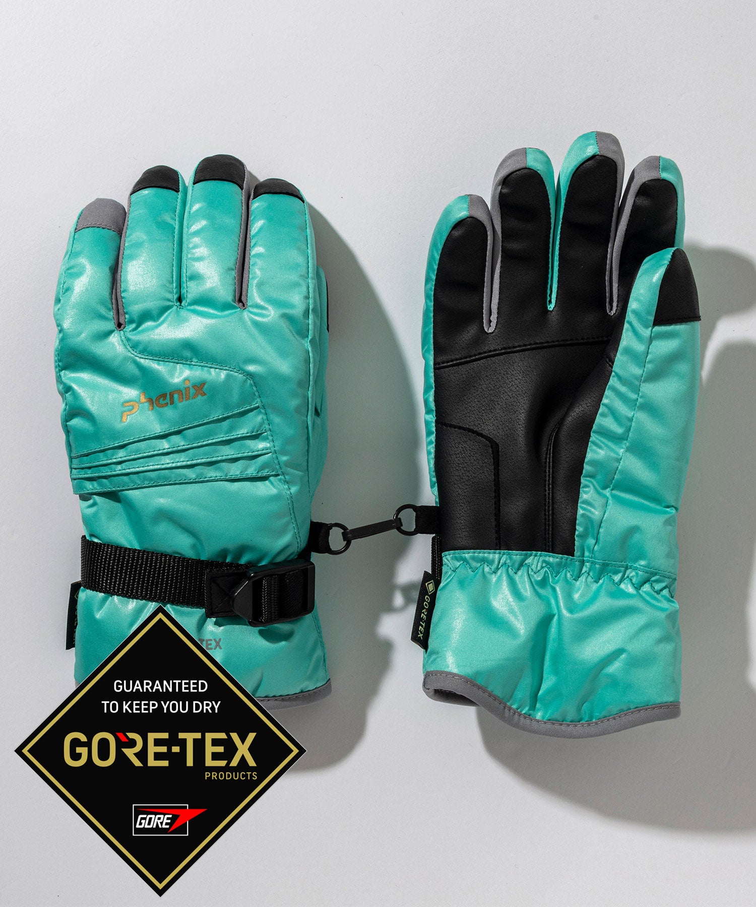 MENS】 Phenix GORE Gloves フェニックスゴアグローブ /phenixスキー