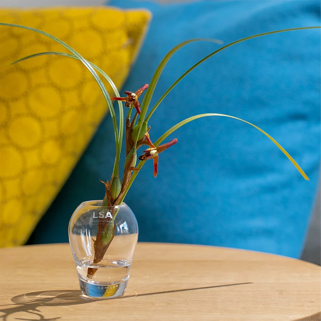 Flower Mini Bouquet Vase W7×H9cm｜ LSA International – PIANO ISOLA