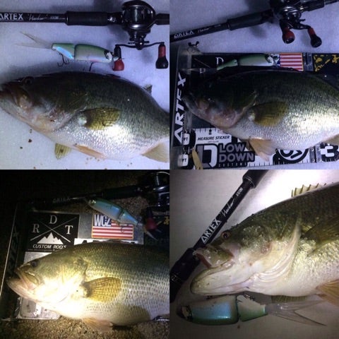 DRT タイニークラッシュ【fish!オリカラ】予約受付しますよ！ | Fish