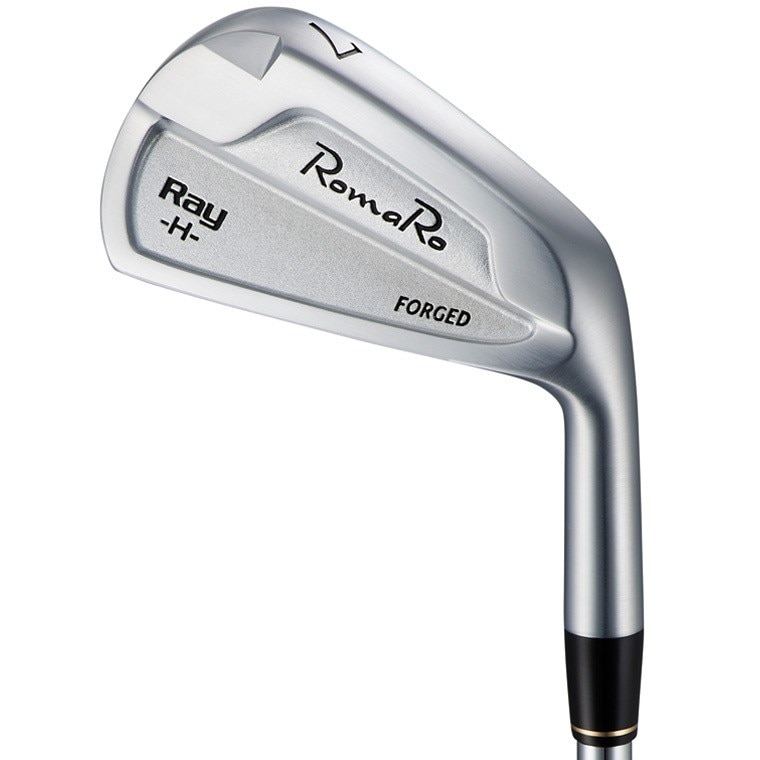 Ray H フォージドアイアン(6本セット) ダイナミックゴールド(アイアン