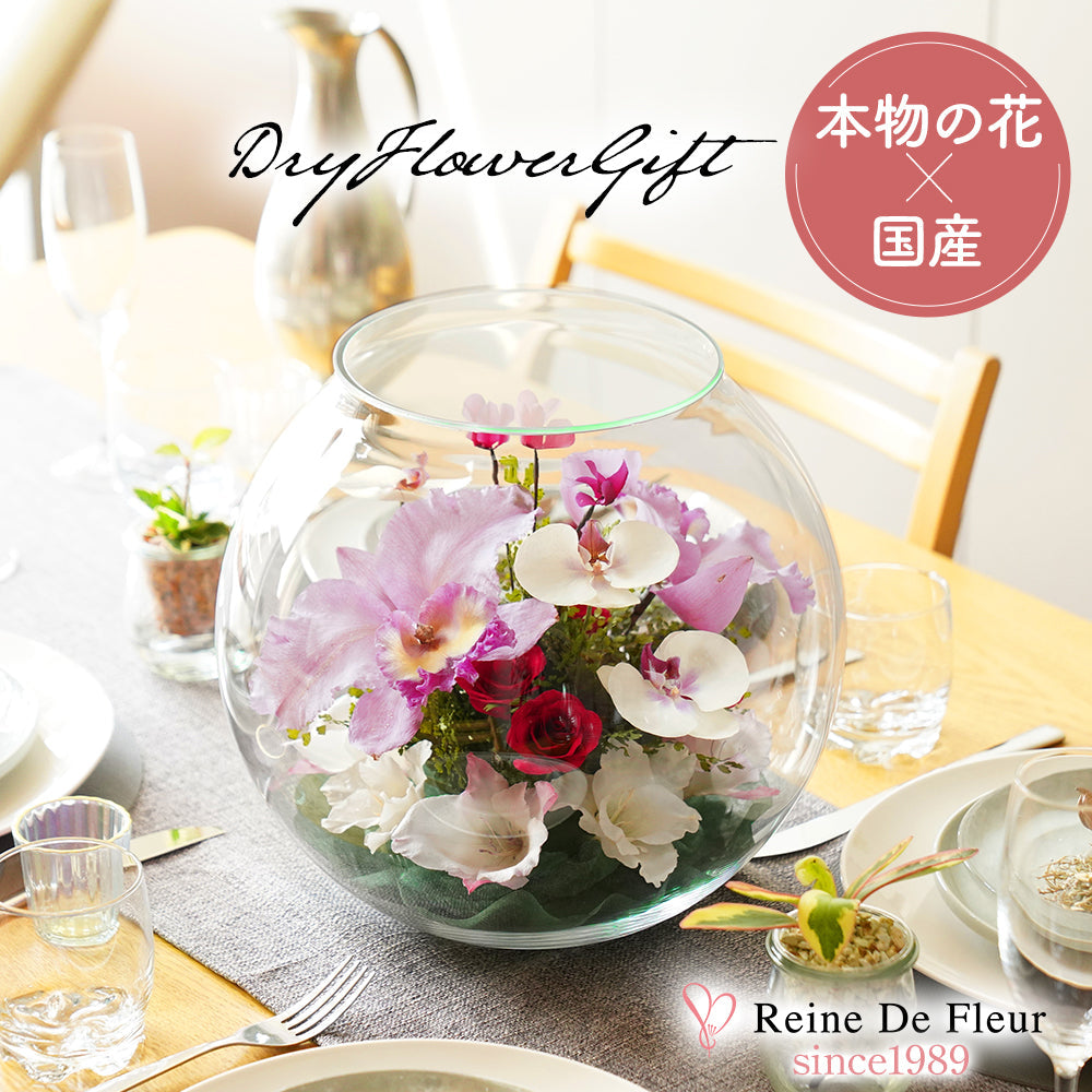 Elegant Bowl LL(C-V) – レンデフロール