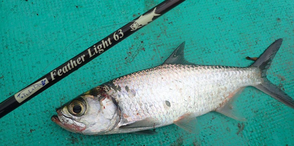 TULALA | Ford every stream | » Feather Light 63