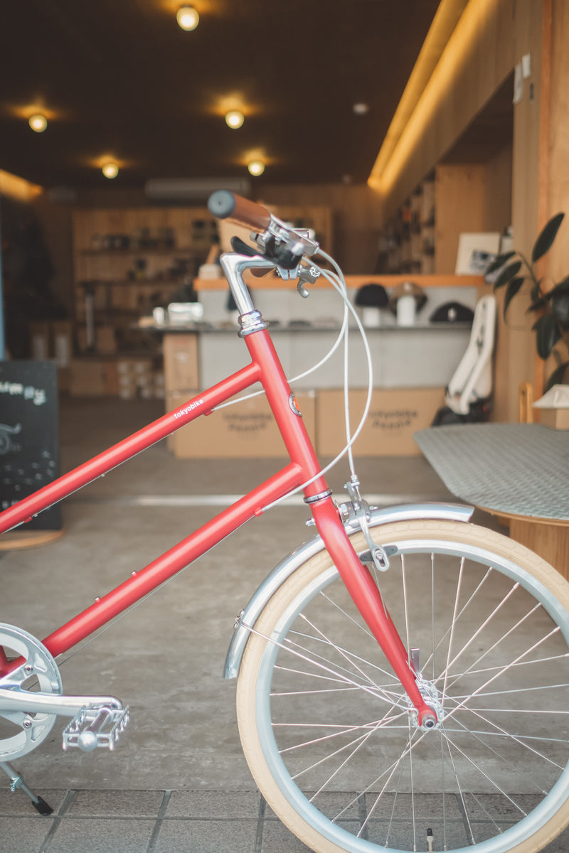 DSCF8660-2_1200x1200.jpg?v=