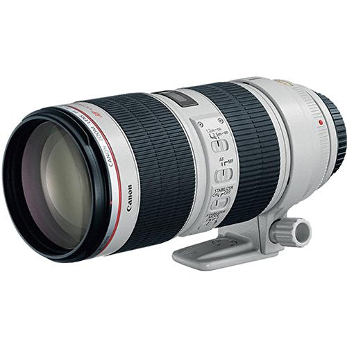 Canon EF 70-200mm f/2.8 L IS USM Lens | Camera Wholesalers