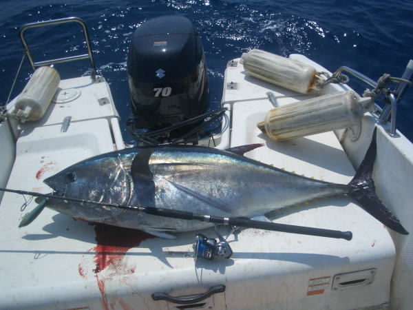 カーペンター BLC83／13 ブルーチェイサー