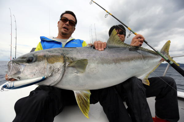 カーペンター BLC83／35 R－PM SC ブルーチェイサー