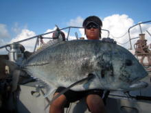 γ ブルーフィッシュ GT ロッド マグロ ヒラマサ