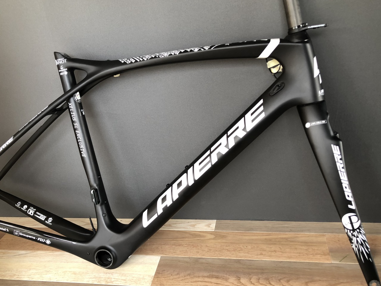 XELIUS SL ULTIMATE フレームセット展示中 | Climb cycle sports