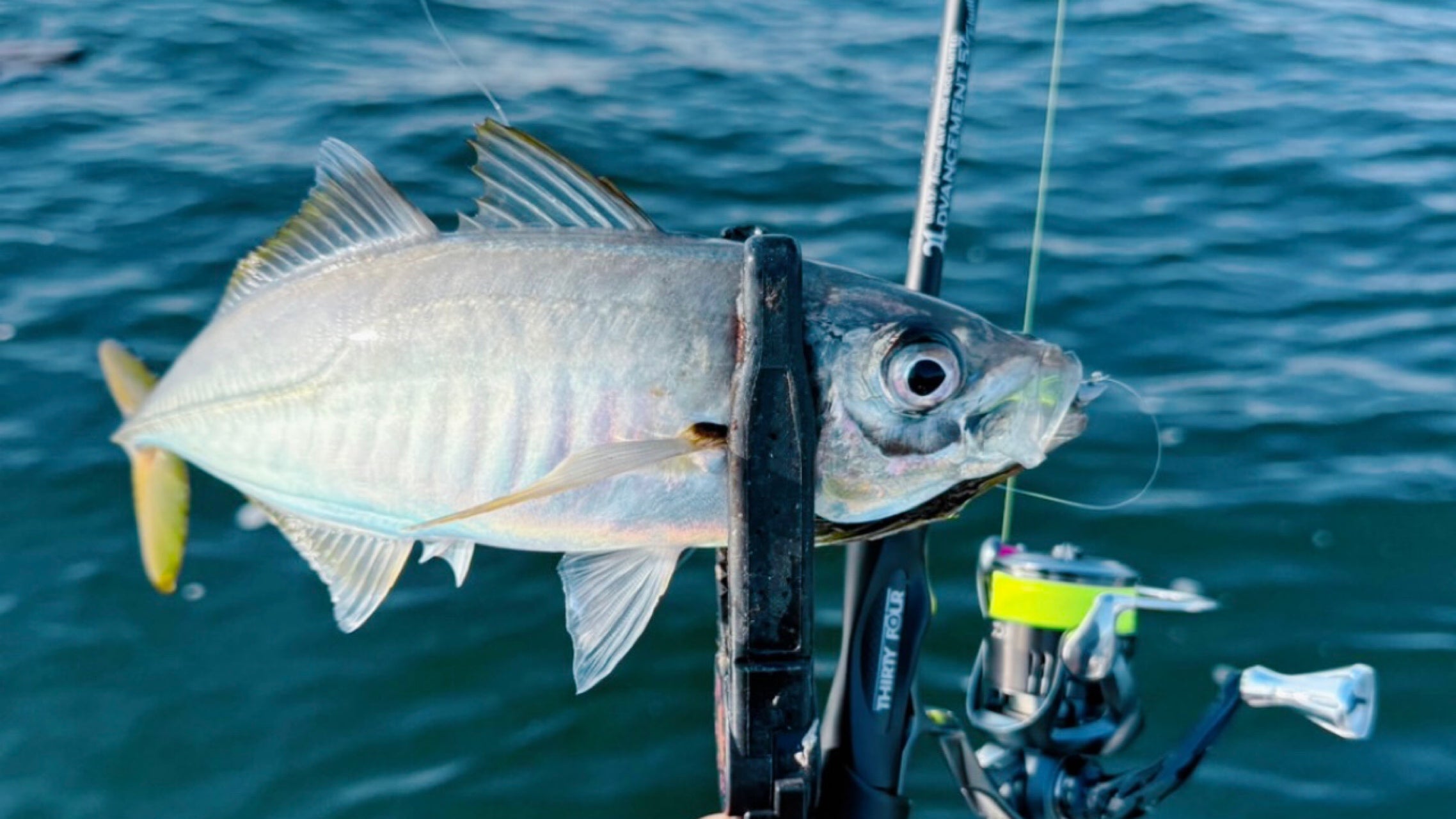 THIRTY FOUR 34 LIVRE サーティフォー リブレ 78mm 34(サーティー