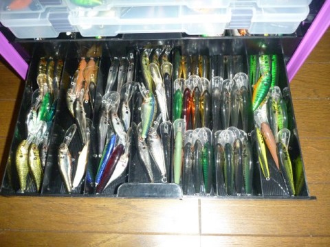 Garage LB ブログ » バーサス VS8050 ムラサキ