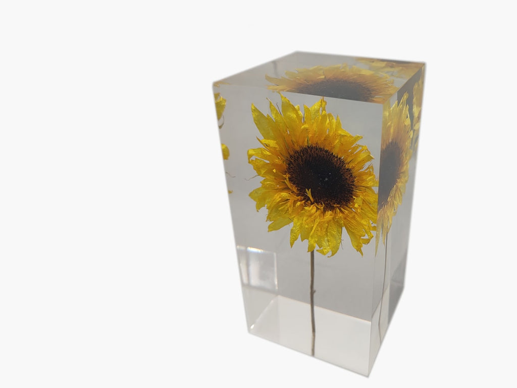 HIMAWARI Object | ヒマワリオブジェ by Takao Inoue | Generate Design