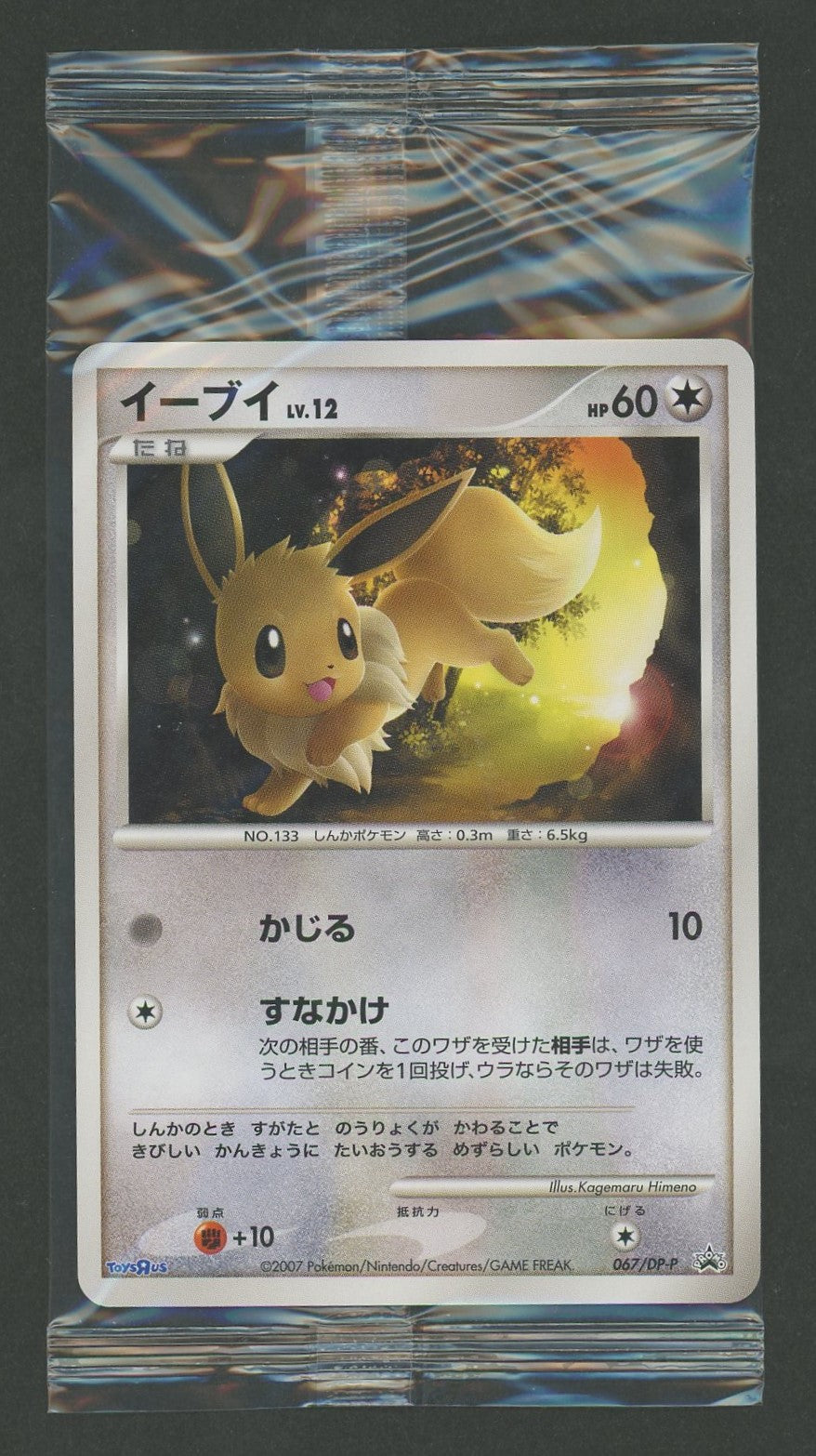 未開封プロモ】 イーブイ 067/DP-P – 晴れる屋2