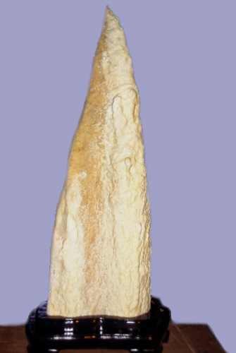 o(^▽^)o遥か昔、6000年(縄文時代)物の石筍(鍾乳石)の