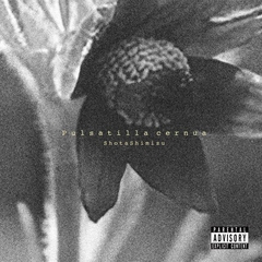 MELODY TOUR 2013 | 清水 翔太 | ソニーミュージックオフィシャルサイト