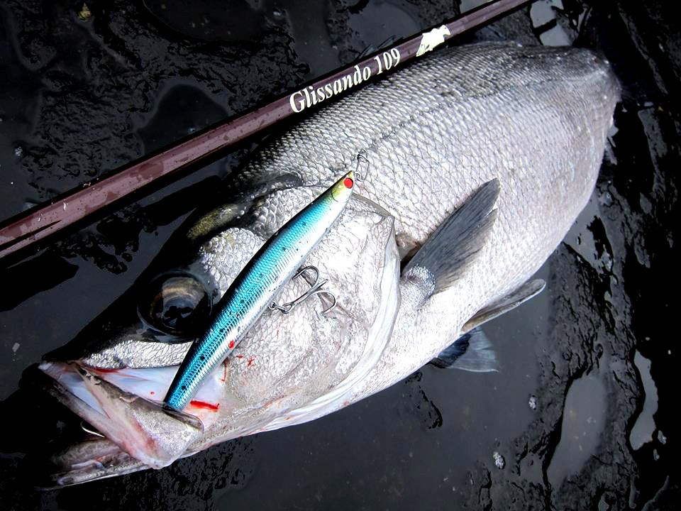 extreme » Glissando 109