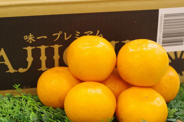 味一みかん プレミアム 糖度13度以上 和歌山県 5kg S〜L