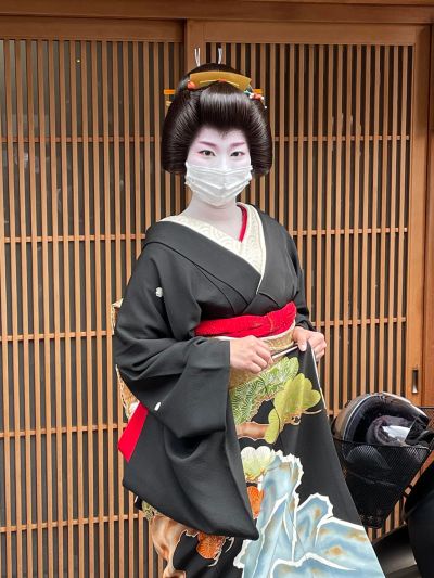 黒地に美しい花薬玉の着物とだらり帯 舞妓さんセット 【公式通販】