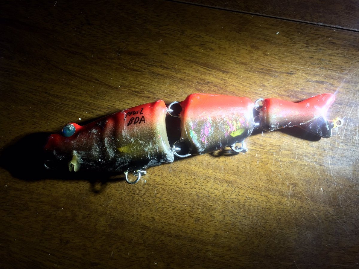 Royal Milktea Spicy Fishing — “Tobikichi/トビキチ” レイクトラウト