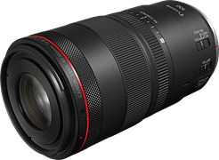 Canon RF 100mm F2.8L Macro IS USM: DPReview | Photography News