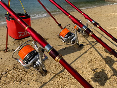 トーナメントサーフ T(ロッド)｜DAIWA