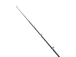 TachiuoX_cut03_1.jpg?rev=