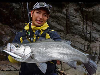 モアザン ワイズメン(ロッド)｜DAIWA