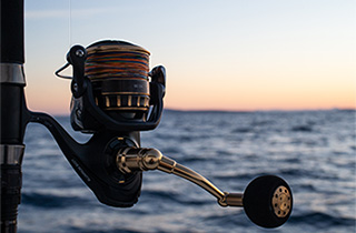 BG SW(リール)｜DAIWA