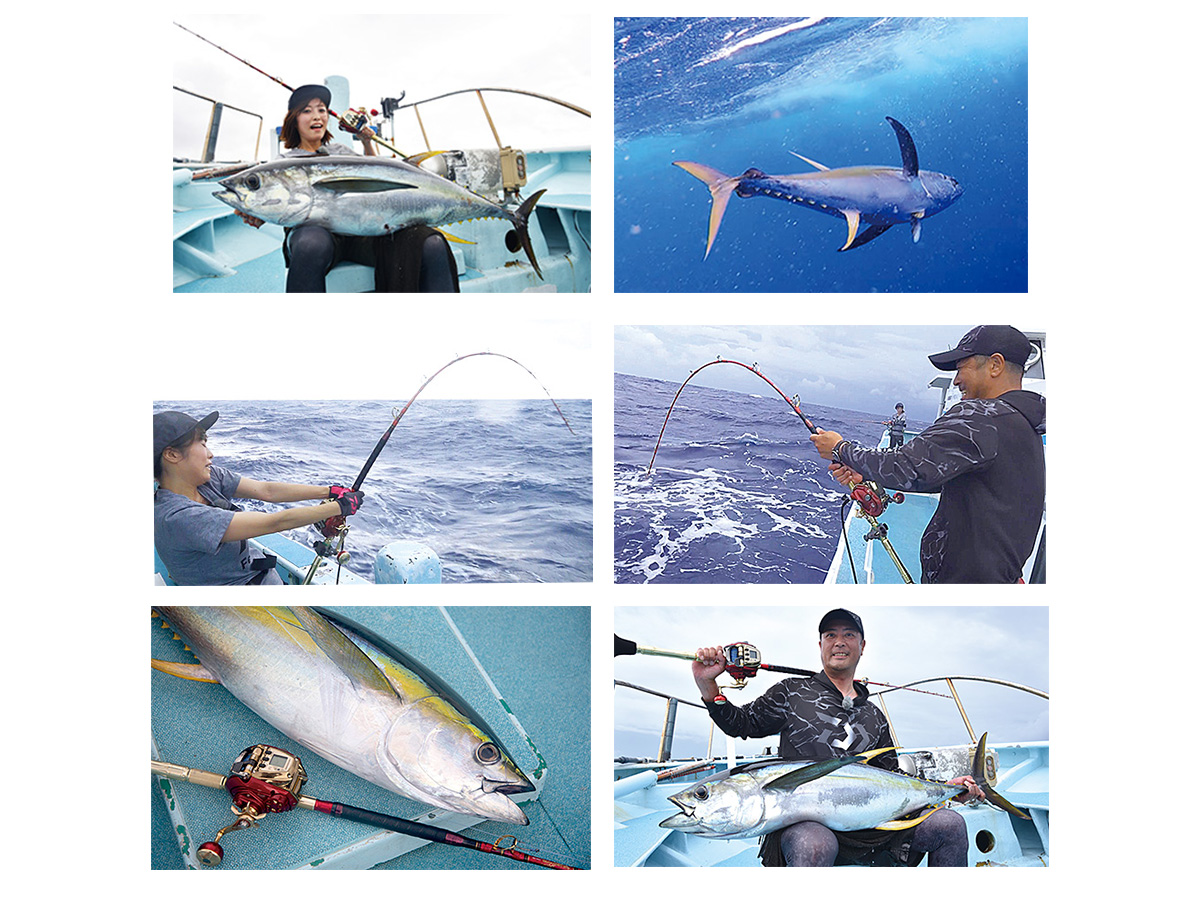 シーボーグ 600MJ(リール)｜DAIWA