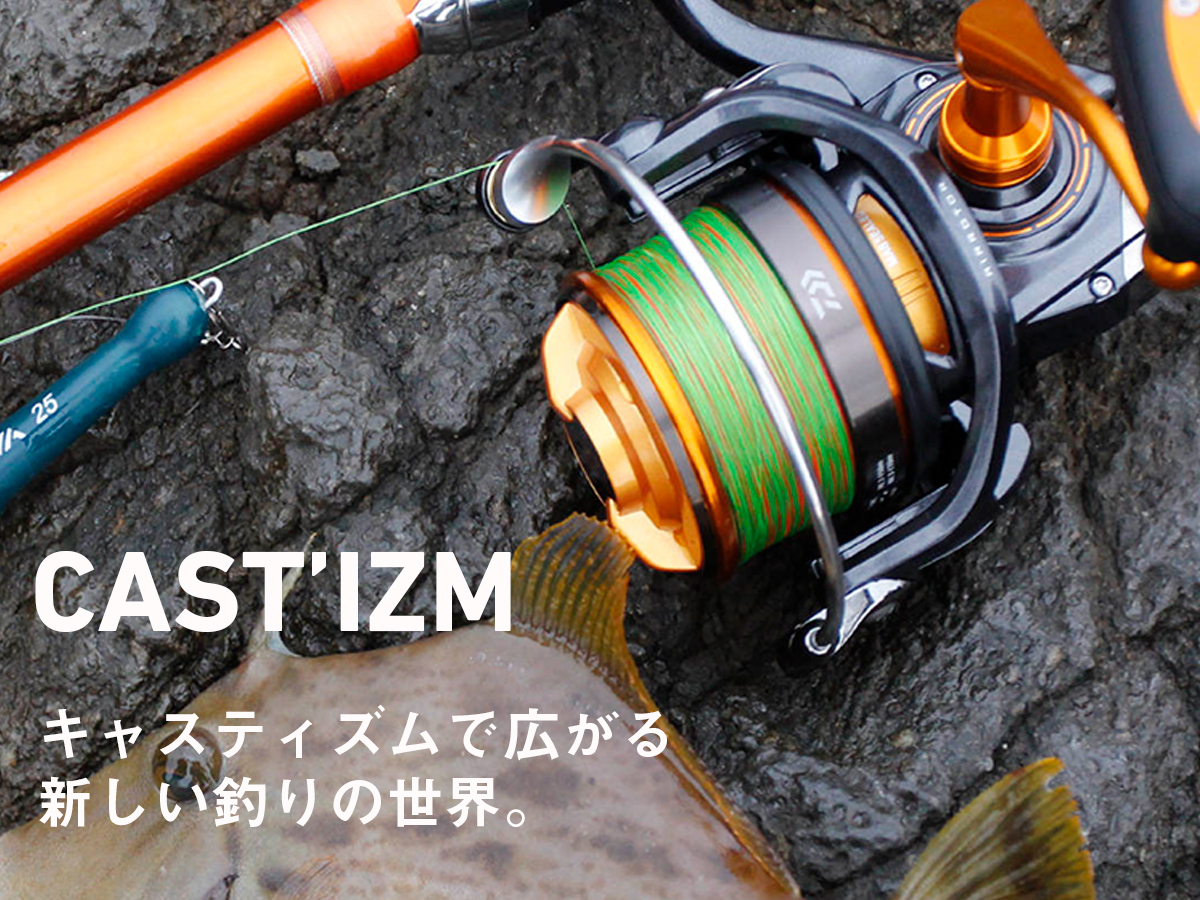 キャスティズム(ロッド)｜DAIWA