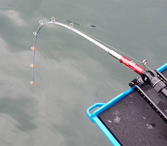 クリスティア ワカサギ 55(ロッド)｜DAIWA