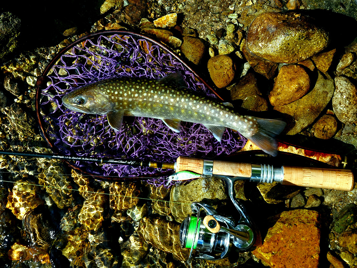 シルバークリーク トラッド(ロッド)｜DAIWA