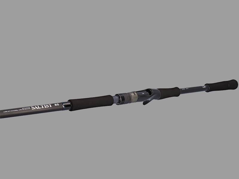 ソルティスト(ロッド)｜DAIWA