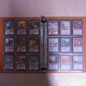 買取実績】『マジック：ザ・ギャザリング（MTG)』 ホームランド