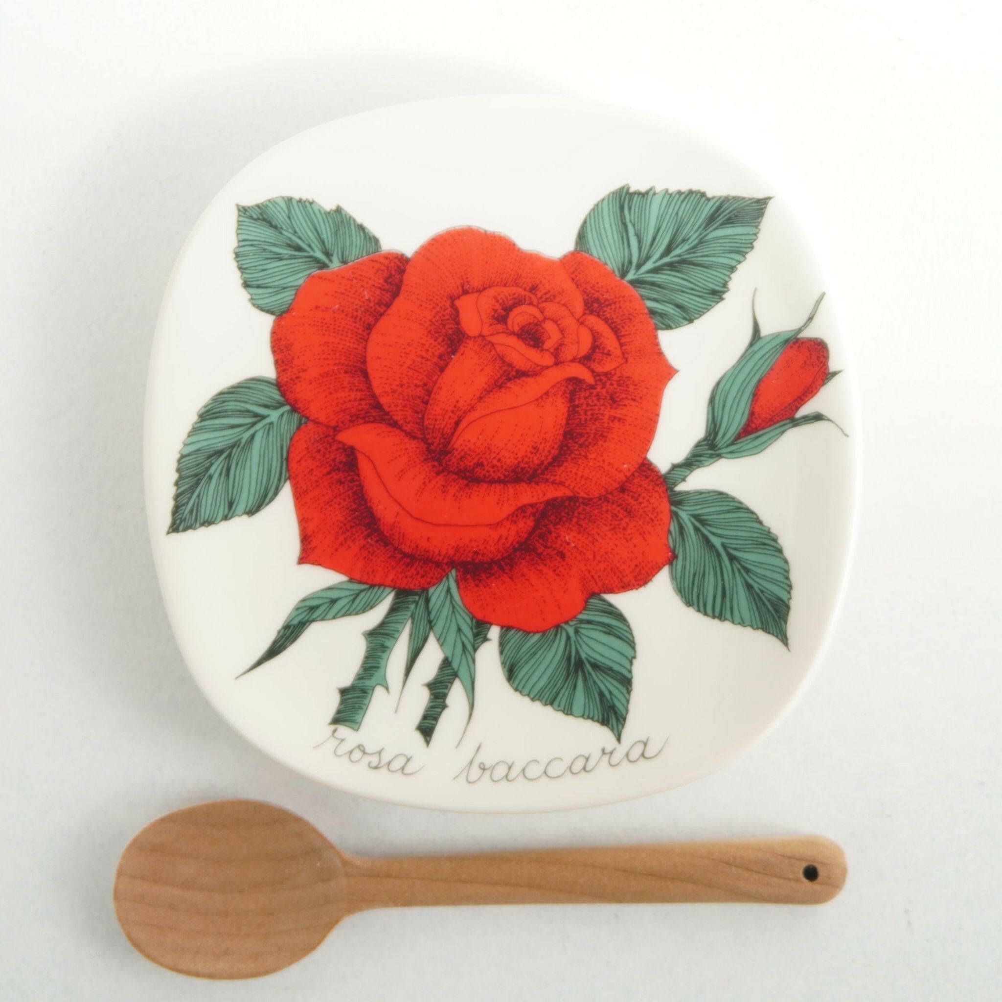 アラビア エステリ・トムラ ボタニカ（Botanica）プレート バカラ