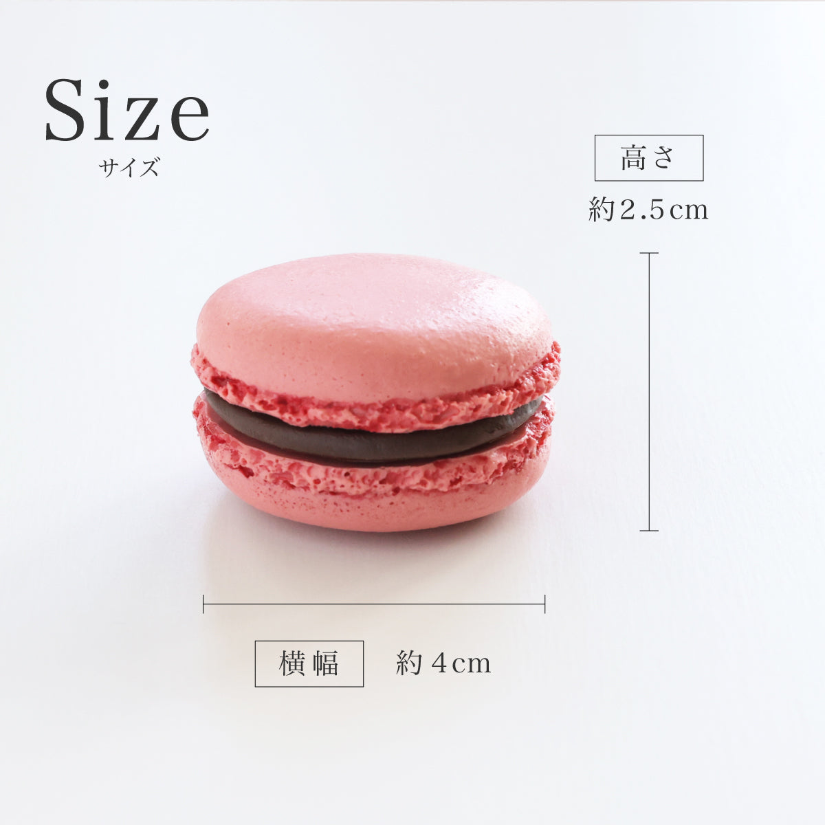 まるで本物。リアルな食品サンプル 大人のマカロン】 | 食品サンプル