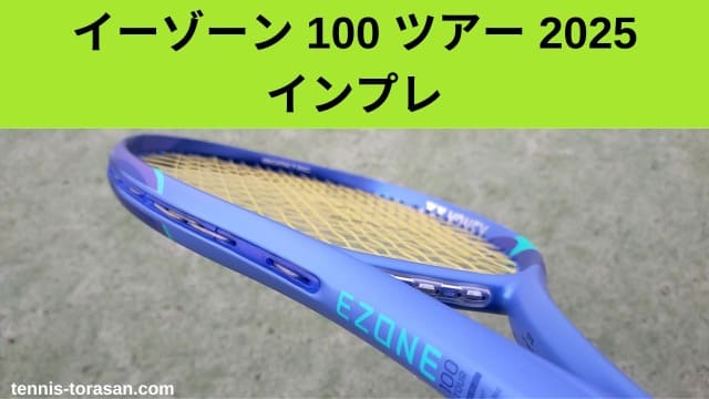 ヨネックス-イーゾーン-100-