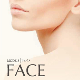 セラピム コアキューブ | 株式会社テクノリンク