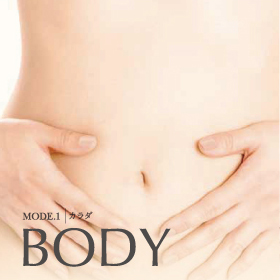 セラピム コアキューブ | 株式会社テクノリンク