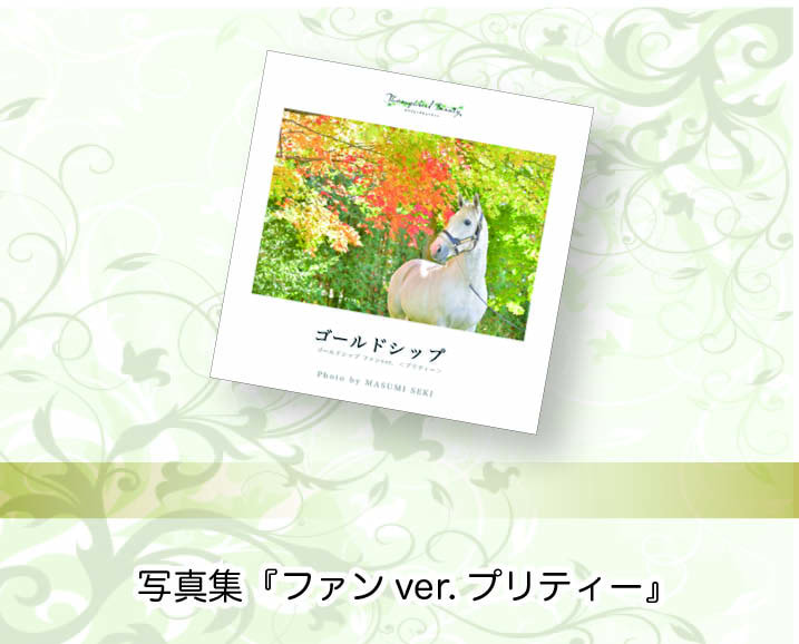 ♦︎ゴールドシップ | サラブレッドライフ