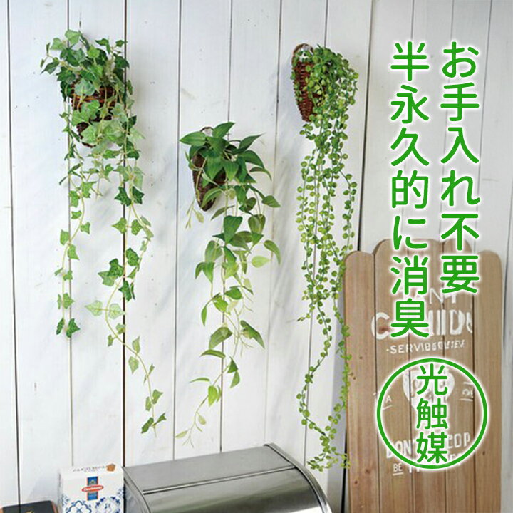 楽天市場】光触媒 壁掛け フェイクグリーンの通販